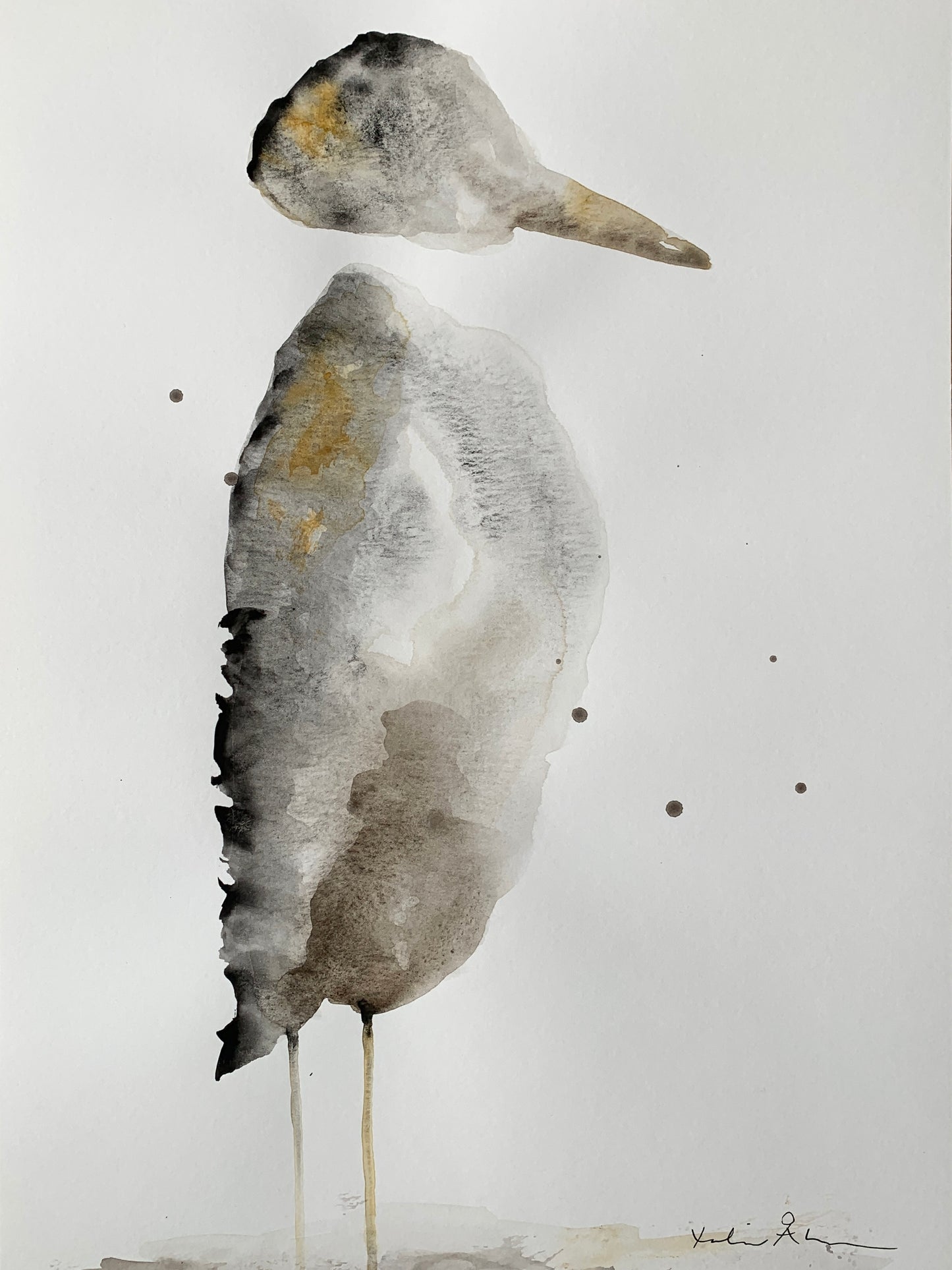Fågel ’Hans’ 30x40cm